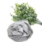 A Rose Loofah - Grey with a green plant next to it.