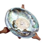 A blue and green bowl with an Abalone Shell on a wooden stand.