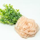 A Rose Loofah- Peach rose on a white background.