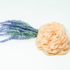 A Rose Loofah- Peach with lavender flowers on a white background.