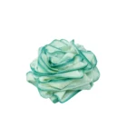 A Rose Loofah - Green colored rose on a white background.